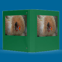 Clown Fish Binder binders