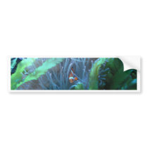 Clown Fish Bumper Stickers
