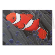 Clown Fish Card (Customizable)