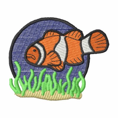 Clown Fish Clown Fish