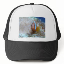 clown fish in anemone trucker hats