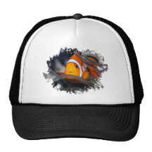 Clown-fish in anemone hat