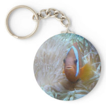 clown fish in anemone keychains