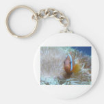clown fish in anemone keychains
