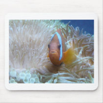 clown fish in anemone mouse pads