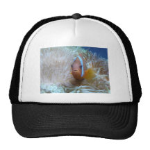 clown fish in anemone trucker hats