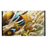 Clown Fish iPad Folio Case