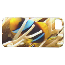 Clown Fish iPhone 5 Covers