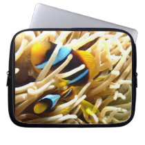 Clown Fish Laptop Computer Sleeve