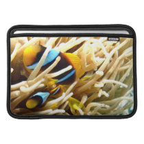 Clown Fish MacBook Sleeves