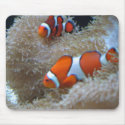 Clown fish mousepads by jellpen Clown fish mousepads