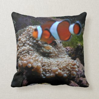 Clown Fish (Nemo) And Coral Pillow