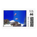 clown fish postage by jennaroar clown fish postage