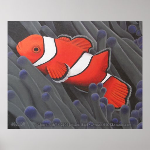Clown Fish Print | Zazzle
