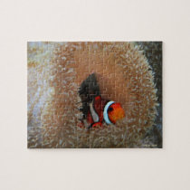 Clown Fish Puzzle