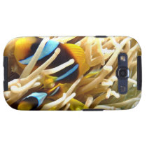 Clown Fish Samsung Galaxy SIII Cover