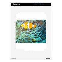 Clown Fish Skins For iPad 2