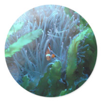 Clown Fish Round Sticker