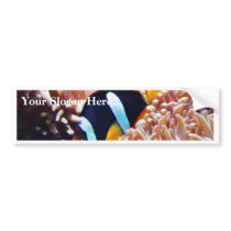 Clown Fish Tropical Fish Bumper Sticker