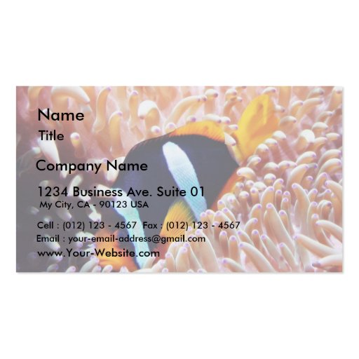 Clown Fish Tropical Fish Business Card Templates (front side)