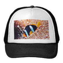 Clown Fish Tropical Fish Hat