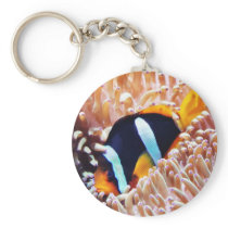 Clown Fish Tropical Fish Key Chains