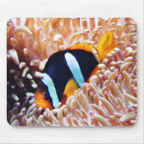 Clown Fish Tropical Fish Mouse Pad