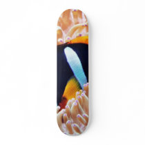 Clown Fish Tropical Fish skateboards by lifesphere Clown Fish Tropical Fish skateboards