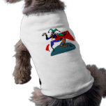Clown jester pet clothes