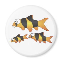 Clown loach family refrigerator magnet