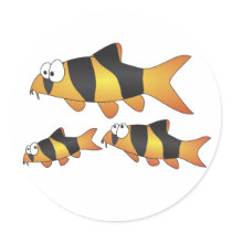 Clown loach family stickers