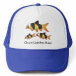 Clown loaches rule! - cool fish cap hats