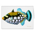 Clown Triggerfish Card by twopurringcats Clown Triggerfish Card