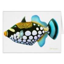 Clown Triggerfish Card