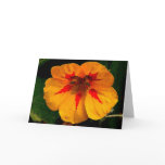 CLOWNFACE NOTECARD/BLANK