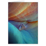 Clownfish and anemone - Card