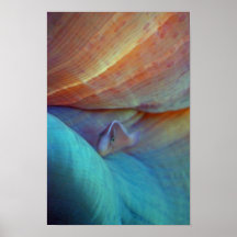 Clownfish and anemone - Print