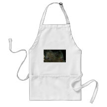 clownfish apron