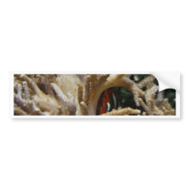 Clownfish Bumper Sticker