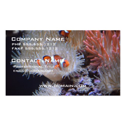 Clownfish Business Card (front side)