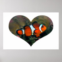 Clownfish Heart Poster