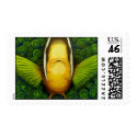 Clownfish in Anemone postage by johnstires Clownfish in Anemone postage