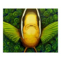 Clownfish in Anemone posters by johnstires Clownfish in Anemone posters