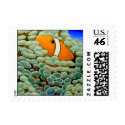 Clownfish in Frogspawn Coral postage