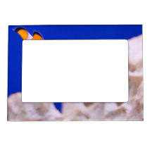 Clownfish Magnetic Picture Frame