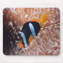Clownfish mouse pad mousepads by journeyoftheanimals Clownfish mouse pad mousepads