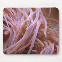 clownfish mousepads