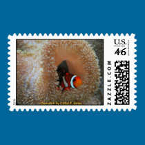 Clownfish Postage postage