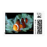ClownFish Postage