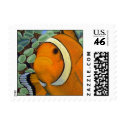 Clownfish Stamp by johnstires Clownfish Stamp